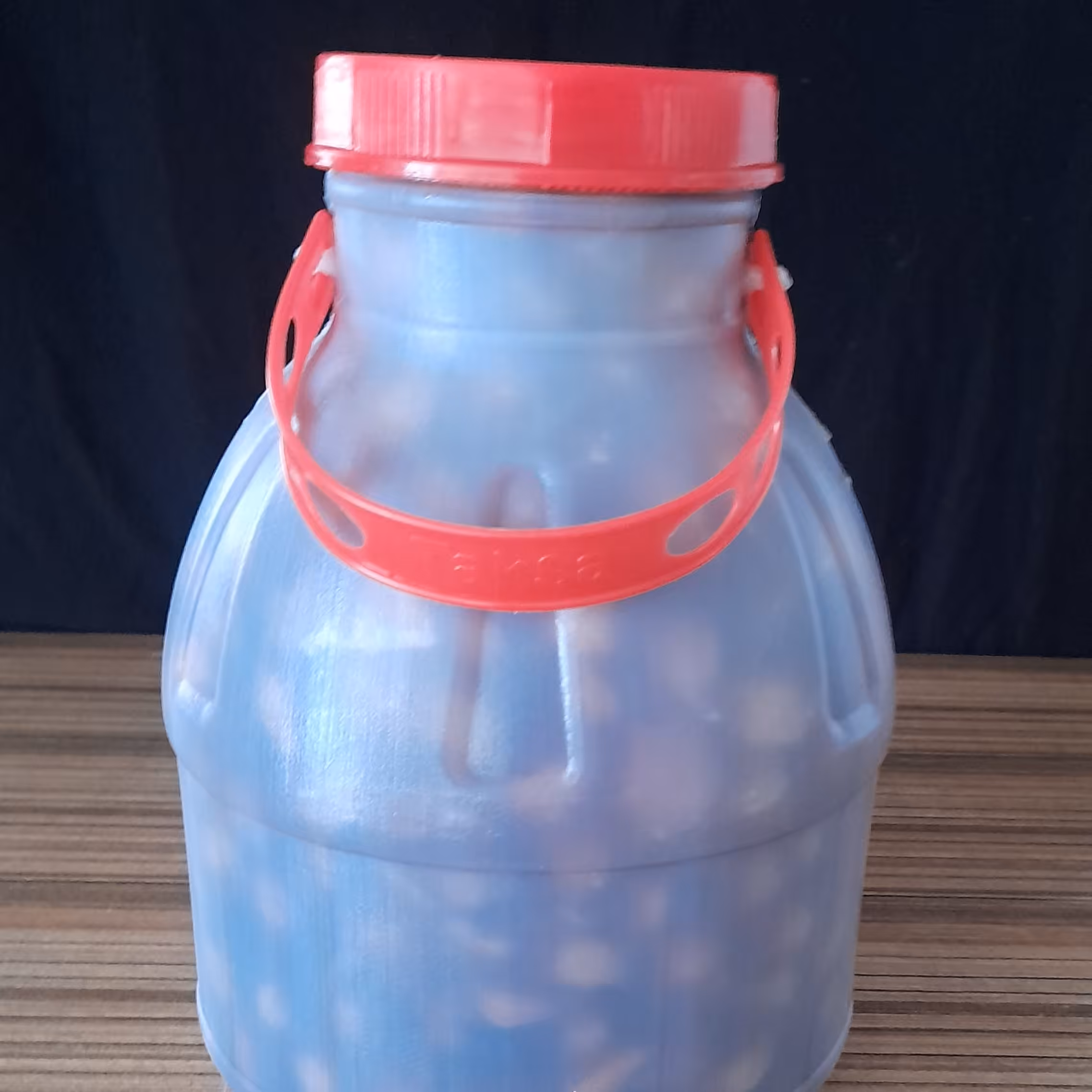 سیر ترشی 5 ساله خانگی(3800)