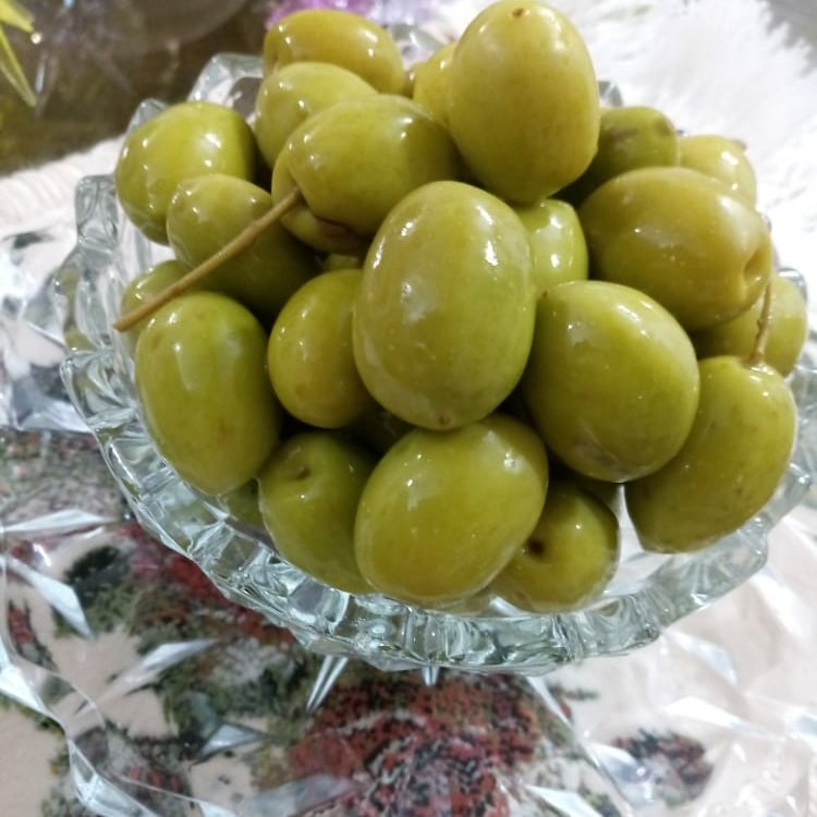 زیتون درجه یک رودبار