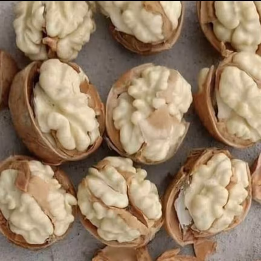 مغز گردو 1402 ایرانی سوپر لوکس سفید دوپر روزشکن که بعد از سفارش از پوست چوبی جدا میشه(1000گرم)