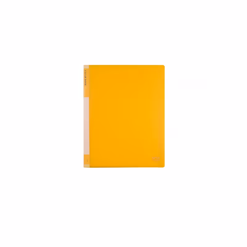 کلیربوک 30 برگ A4 پاپکو