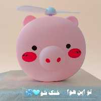 فن طرح خوک رینگ لایت دار