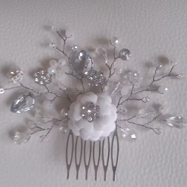 شانه شینیون