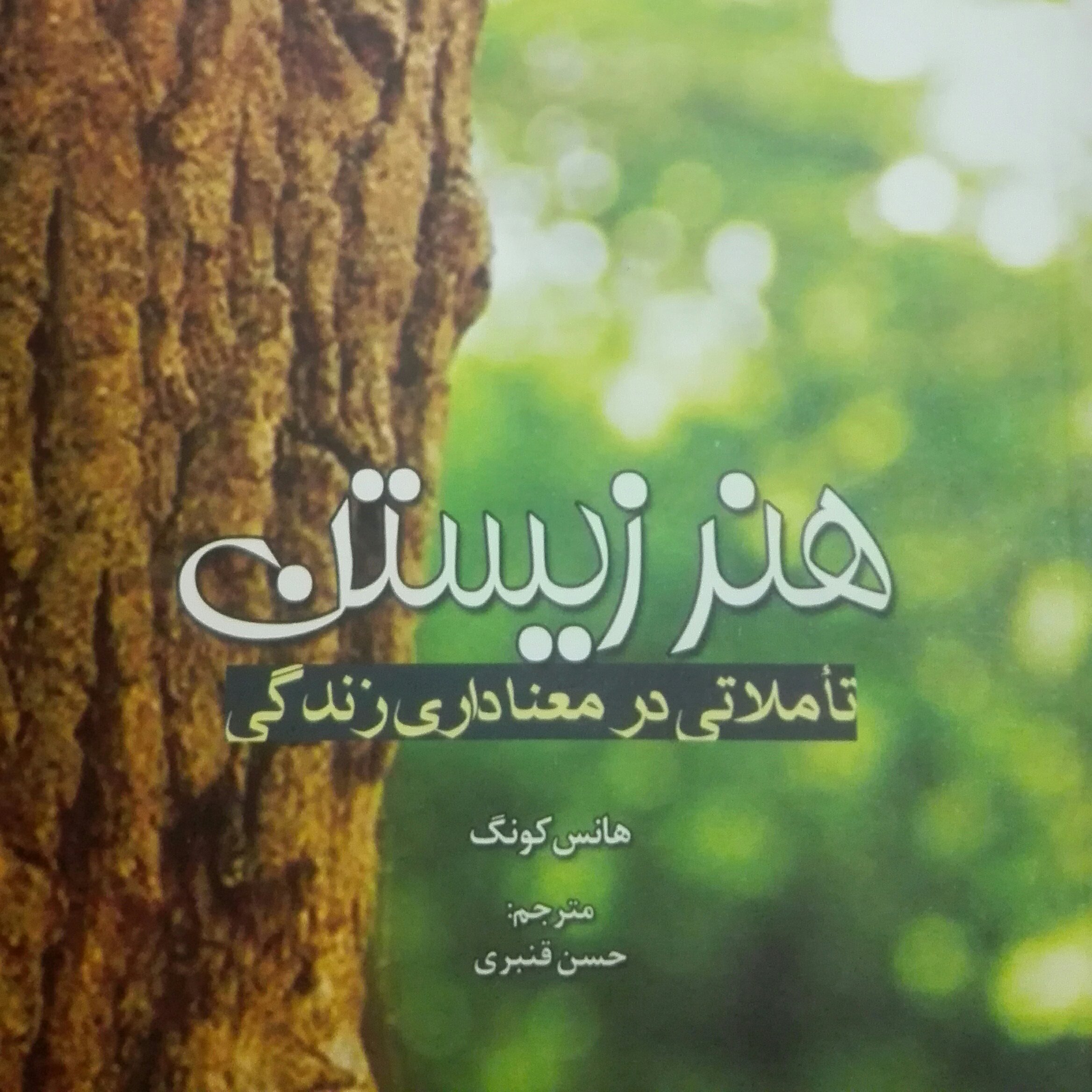 هنر زیستن تاملاتی در معناداری زندگی