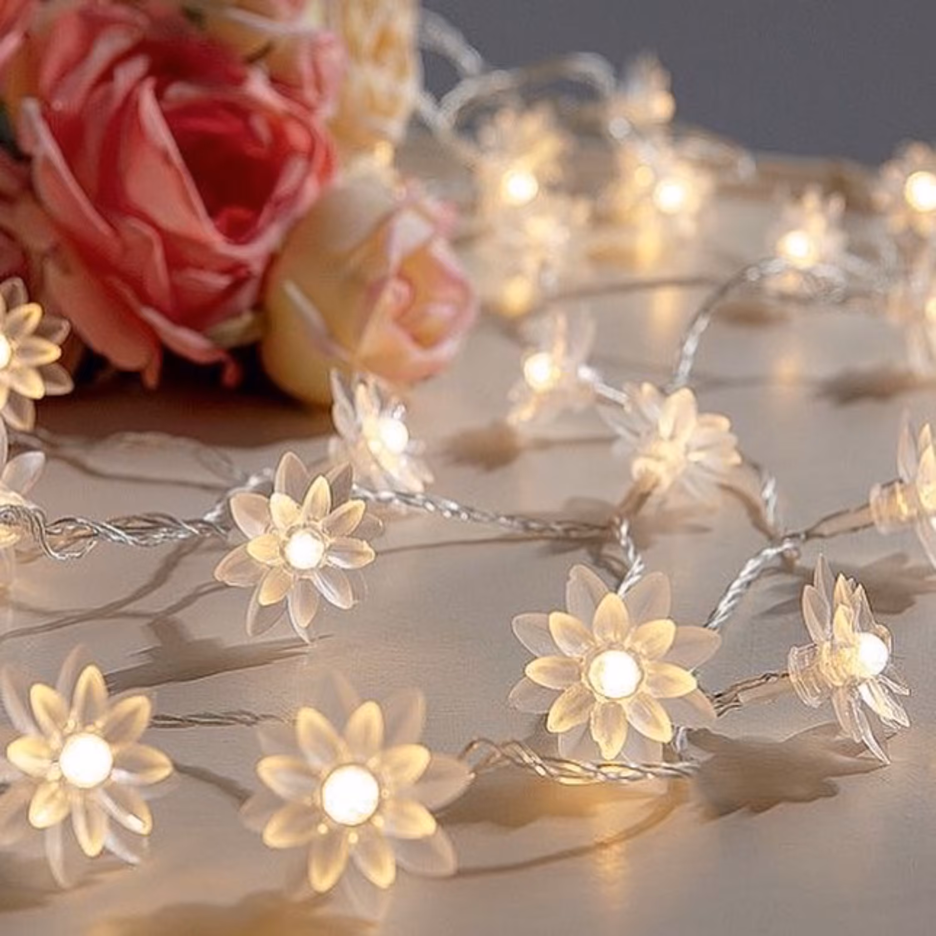 ریسه گل داوودی. ارسال رایگان