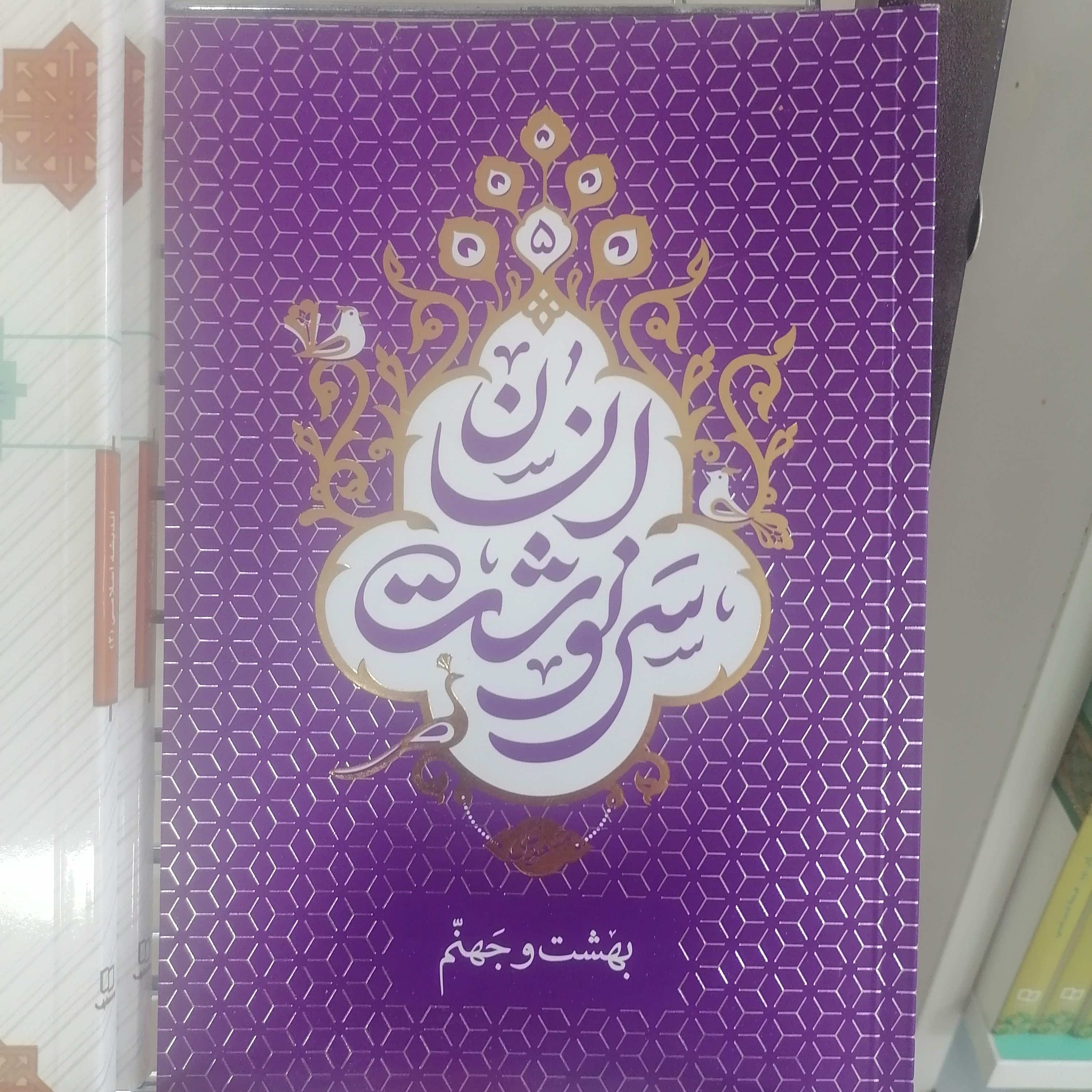 کتاب سرنوشت انسان 5: بهشت و جهنم
نوشته مسعود عالی نشر دفتر نشر معارف