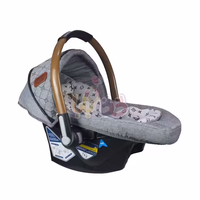 کریر دلیجان مدل بنیتاپلاس طرح LV 3