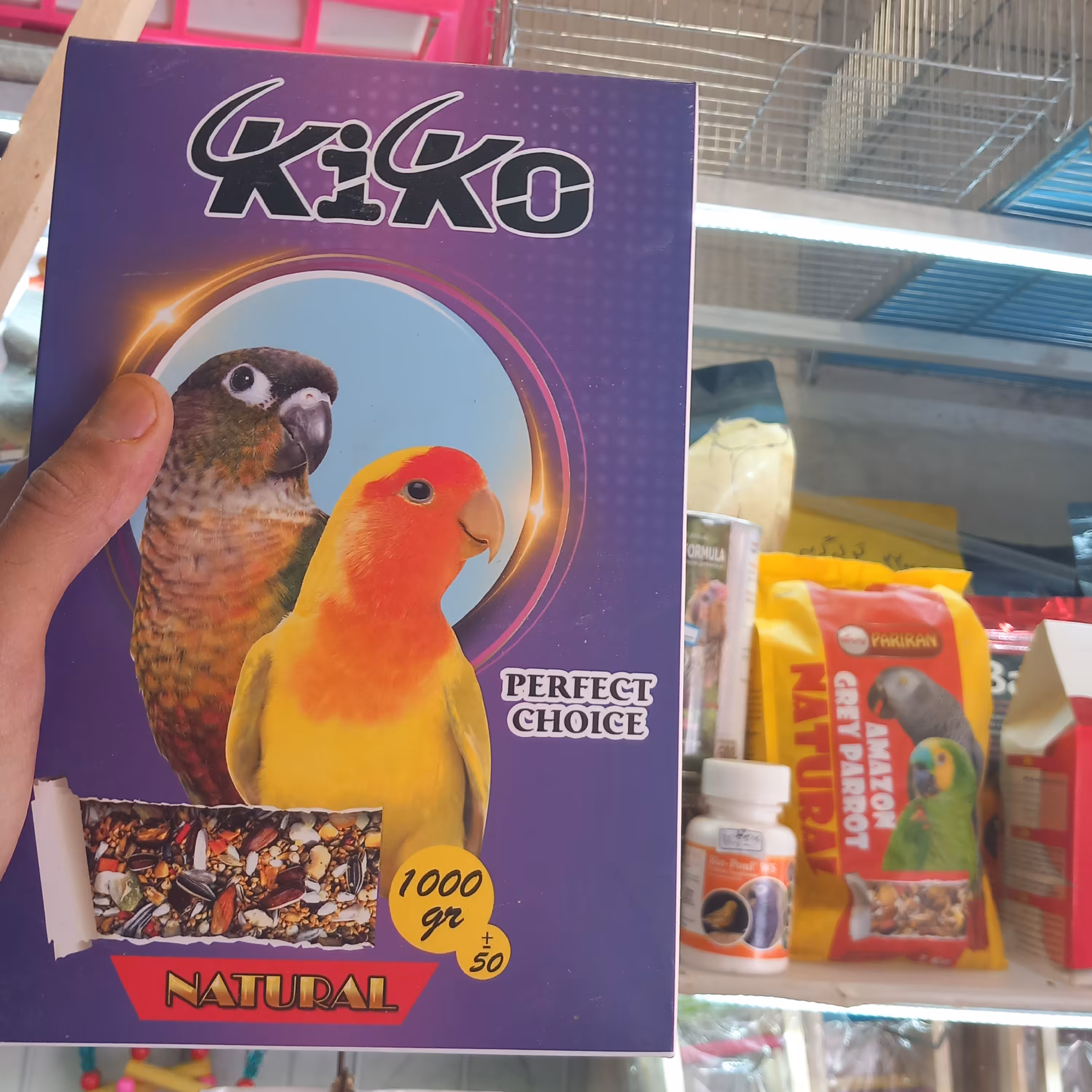 دان مخصوص عروس هلندی و طوطی برزیلی و گرینچیک و راهب و ملنگو