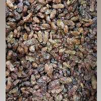 کشمش افتابی  (گله) تنوع در کشمش افتابی کاشمر خلیل اباد شهد دار  عالی 