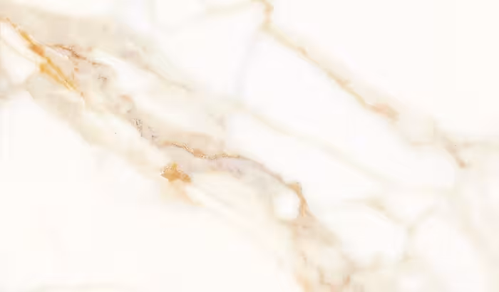 سرامیک پرسلان پالرمو مدل کلکته گلد