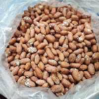 بادام زمینی تازه درجه یک آستانه اشرفیه برکت (نیم کیلویی)