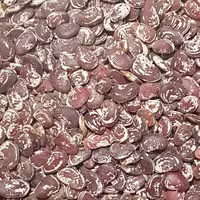 لوبیا عروس یک کیلو (لوبیا کریسمس یا لوبیا لیما)