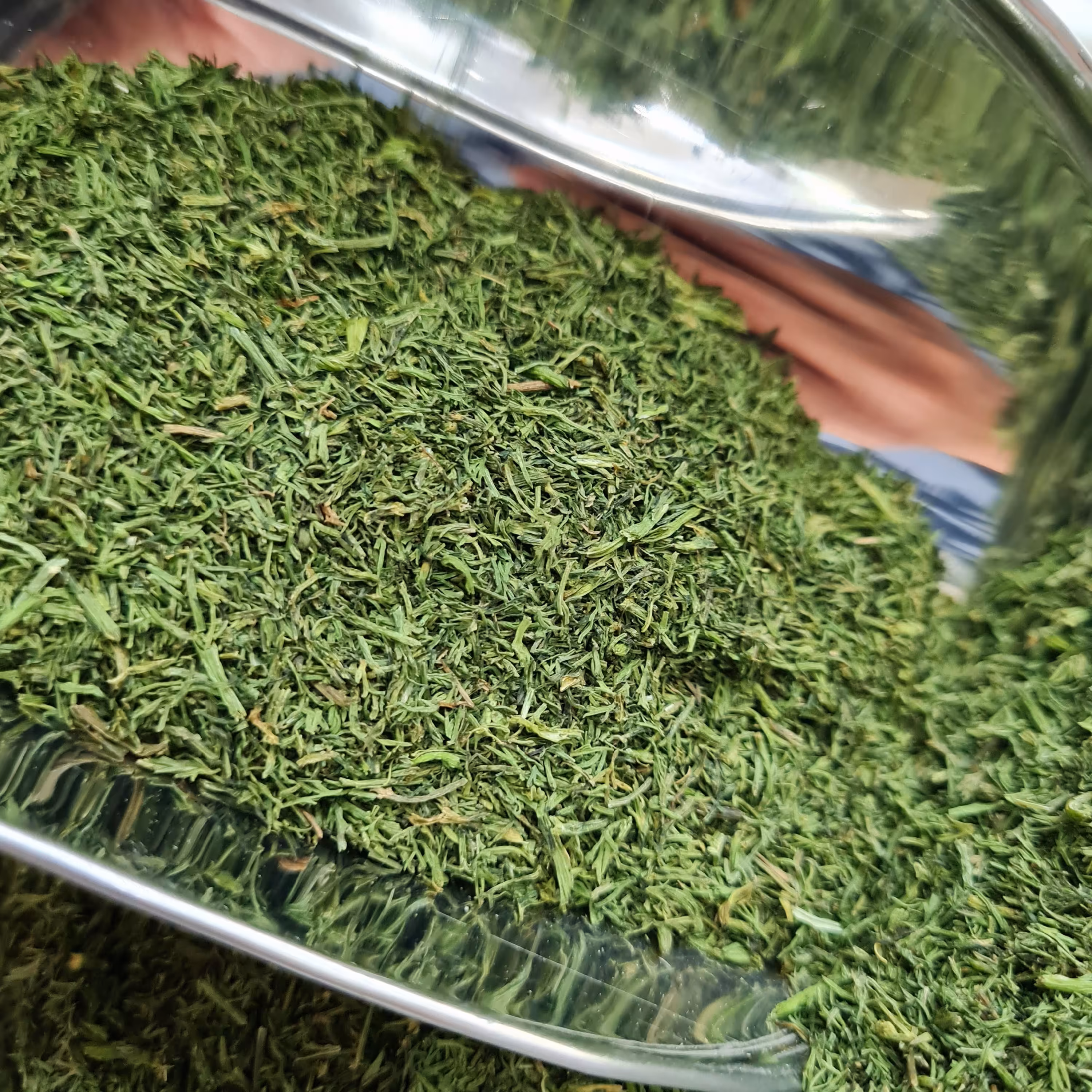 شوید خشک اعلا بدون خاکه و ساقه 500 گرمی