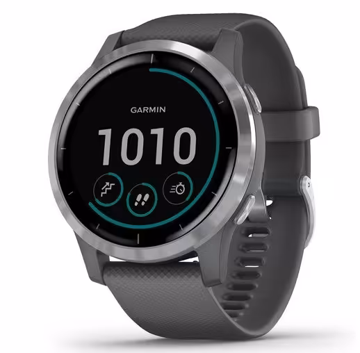ساعت ورزشی گارمین مدل VivoActive 4 Shadow Gray with Silver Hardware