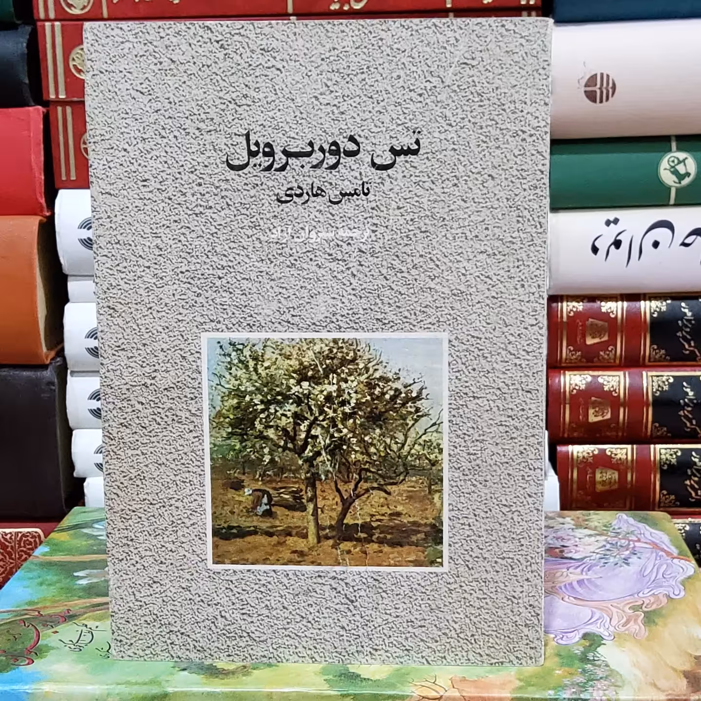 کتاب تس دوربرویل (توماس هاردی)