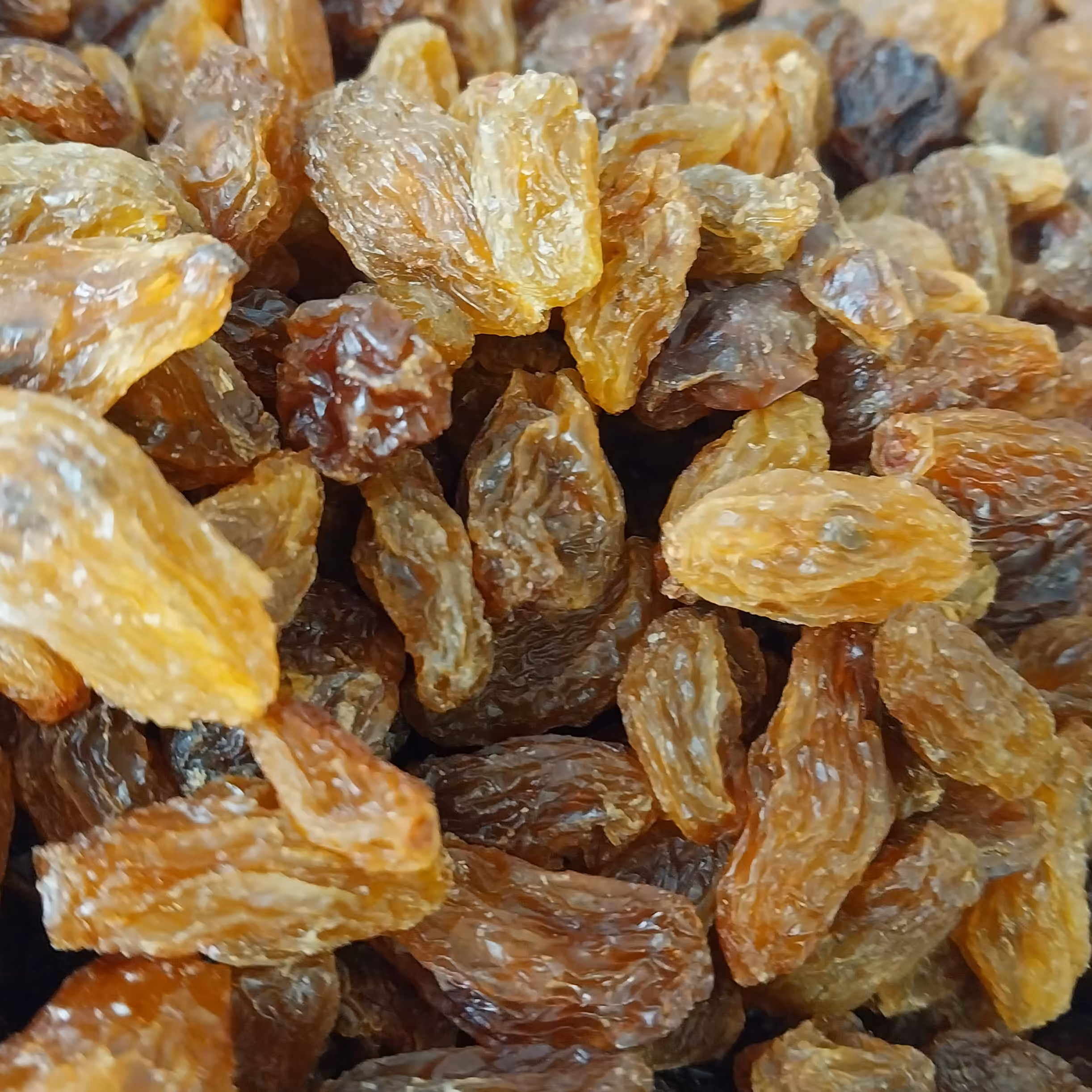 مویز درجه یک