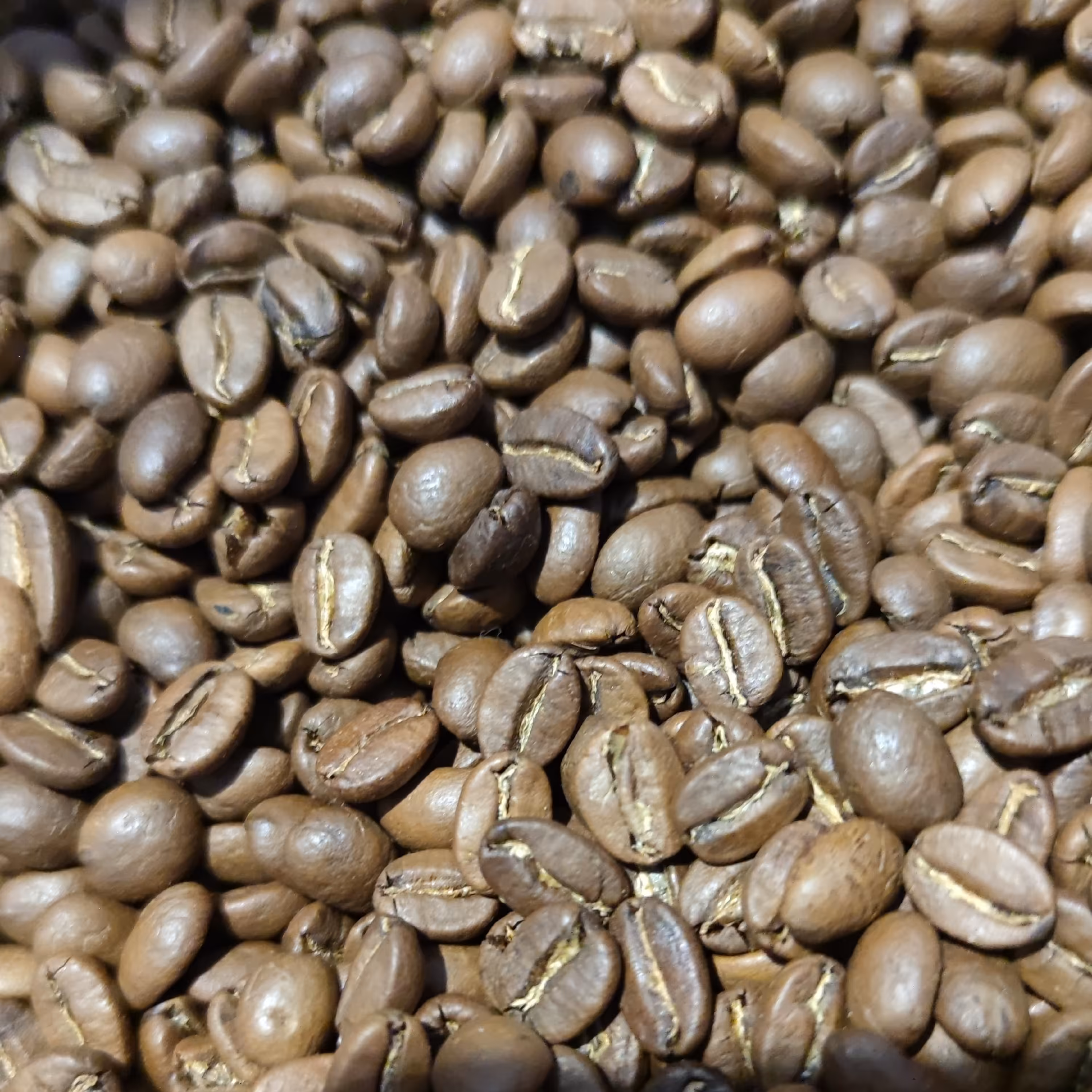 قهوه میکس 60عربیکا(1کیلو)