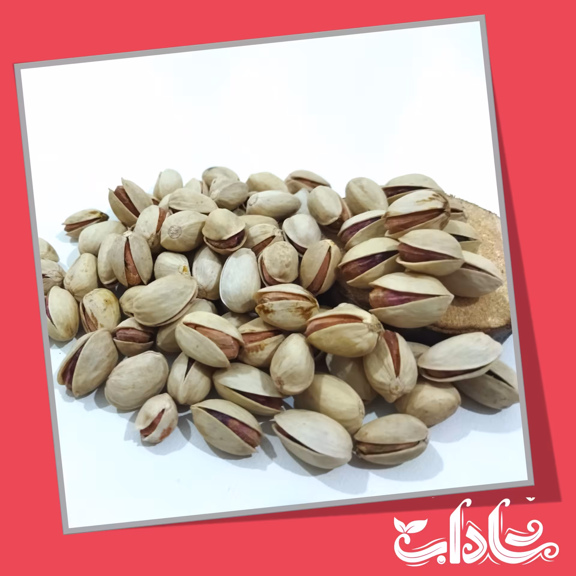 پسته خام 250 گرمی احمد اقایی ممتاز امسالی انس 24
