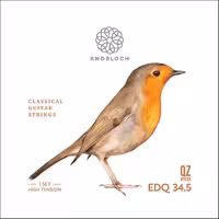 سیم گیتار نابلوخ مدل EDQ34.5 