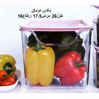 نظم دهنده یخچال دردار دومان  بدنه بی رنگ درب رنگی