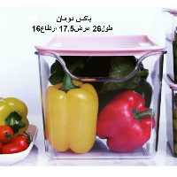 نظم دهنده یخچال دردار دومان  بدنه بی رنگ درب رنگی