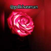 گلفوم آباژوری 