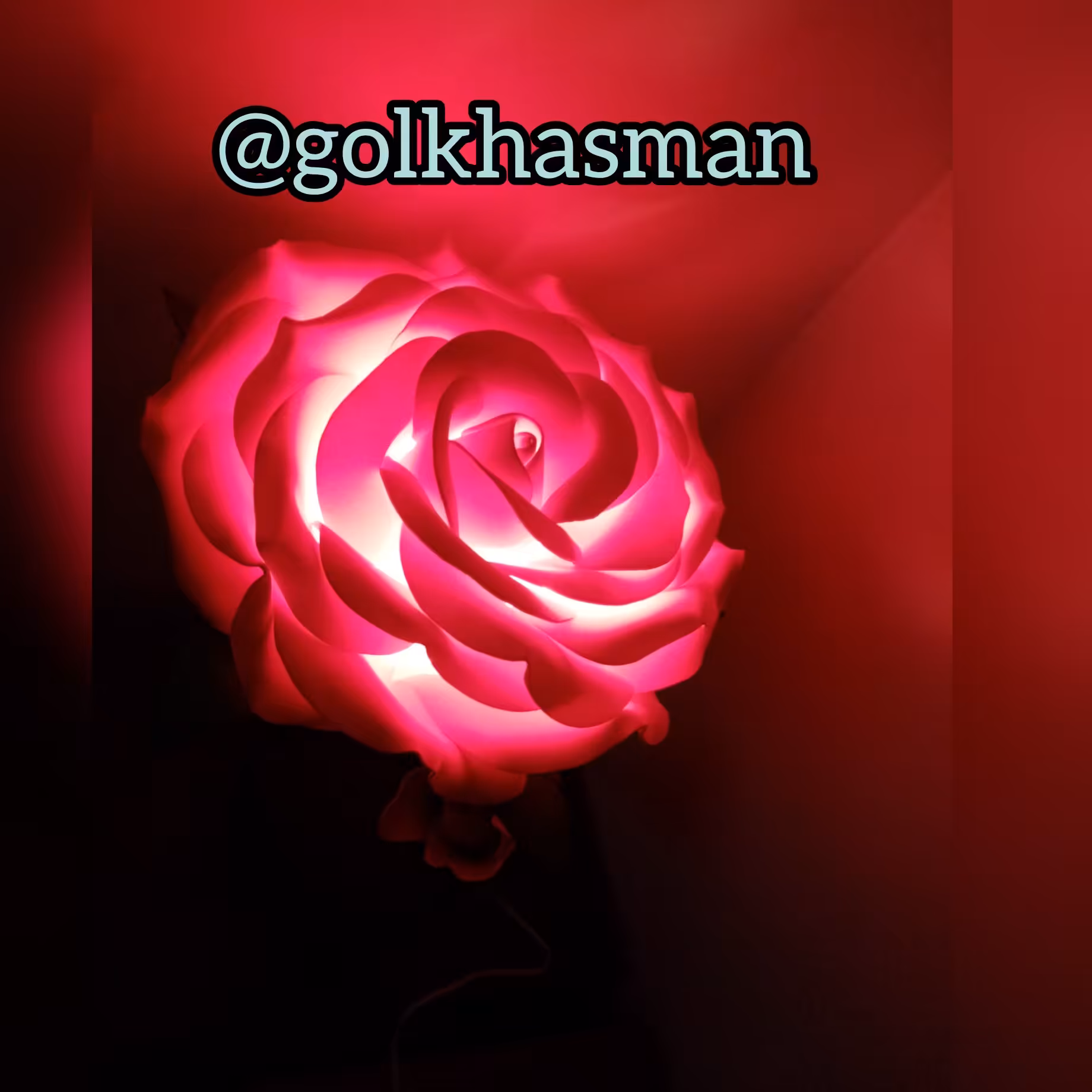 گلفوم آباژوری 