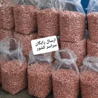 بادام زمینی آستانه اشرفیه عمده درشت و درجه یک  محصول  1403 (5000 گرمی)