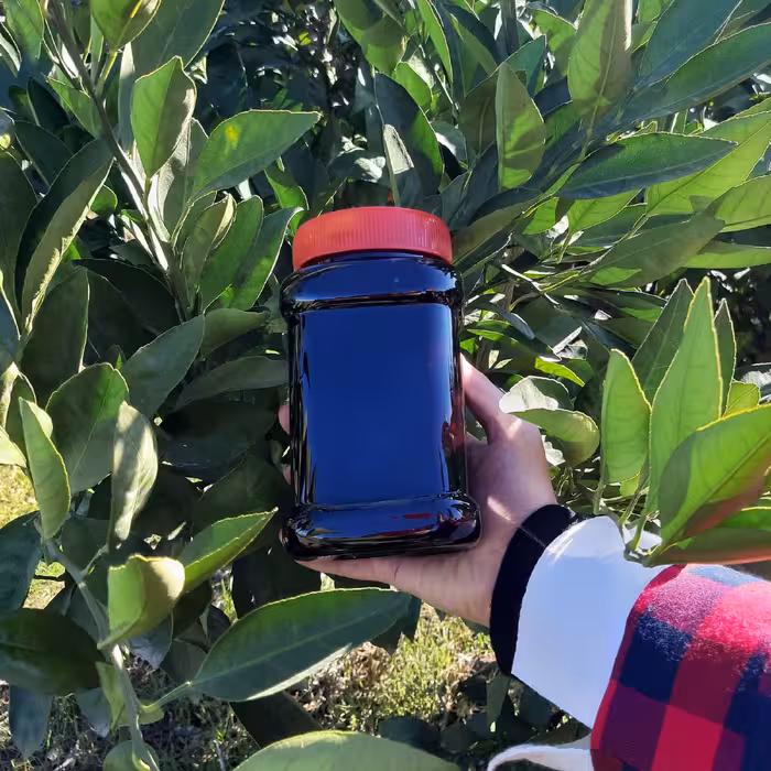 مارمالاد بلکبری (مربا تمشک بدون تخم) 1 کیلویی 100درصد طبیعی 1402