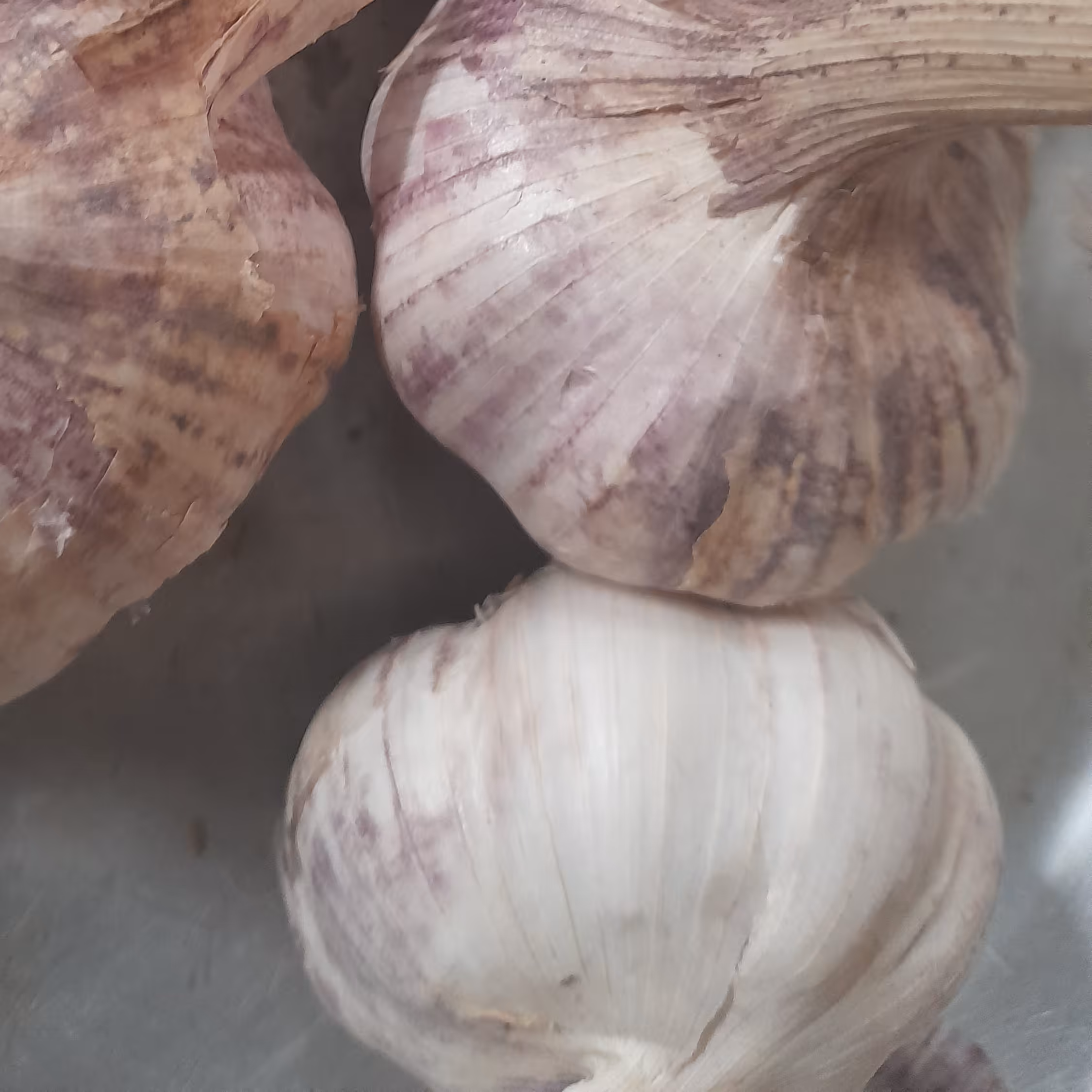 سیر خشک درجه 1 (1000گرمی)