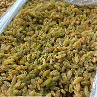 کشمش سبز قلمی کاشمر یاقوت سبز محصول 403(مستقیم از باغدار)4.5کیلوخالص