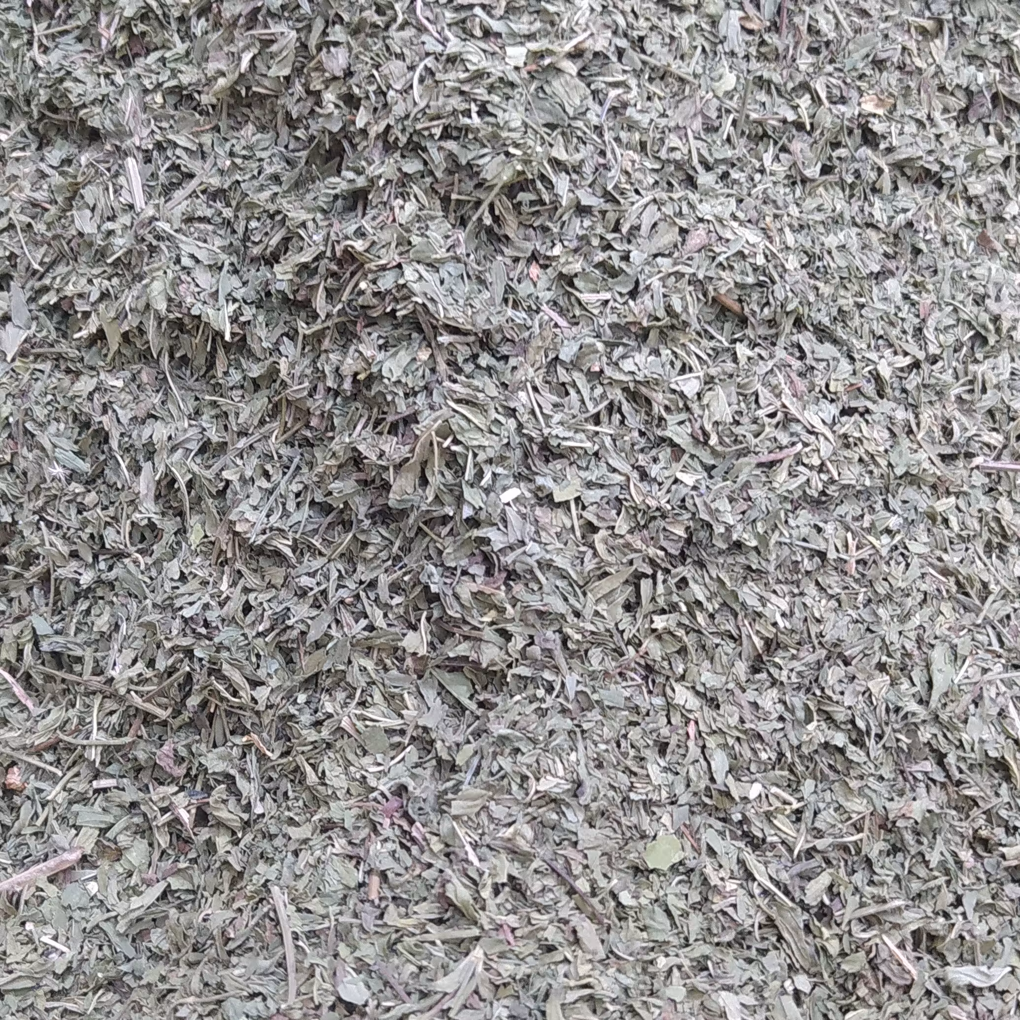 نعناع بلغور بار درجه یک فلفلی خوش عطر و خوش طعم یک کیلویی