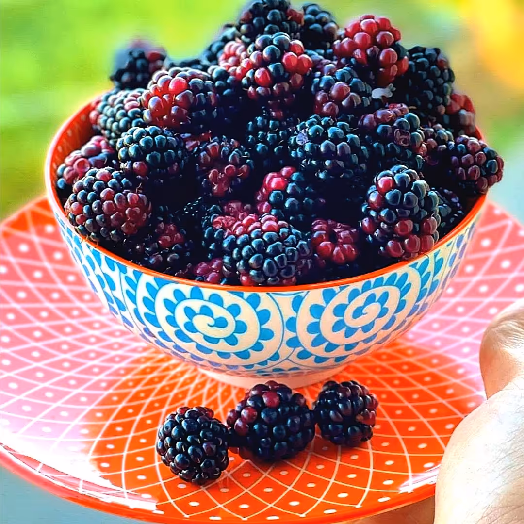 مربای تمشک جنگلی در وزن 400 گرم