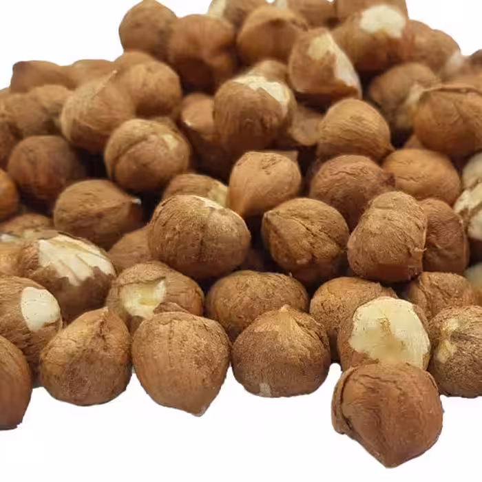 مغز فندق ایرانی اشکورات خام 1 کیلویی