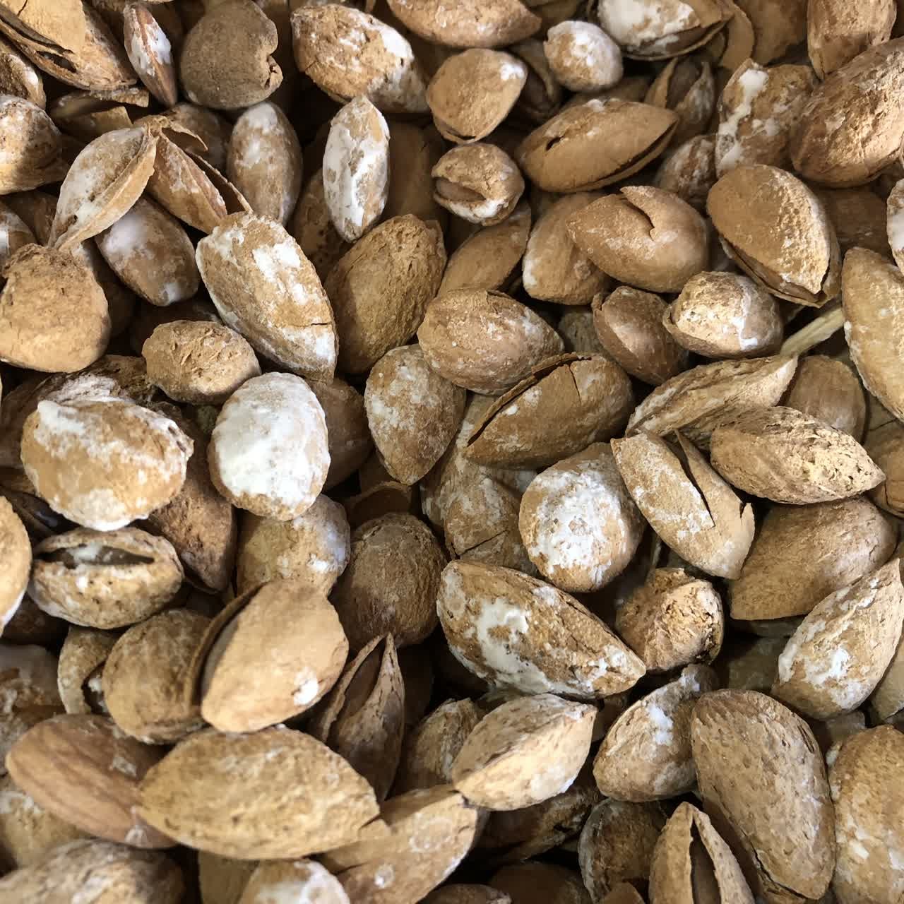 بادام پوست کاغذی زرین درجه یک شور  نمکی 500 گرمی