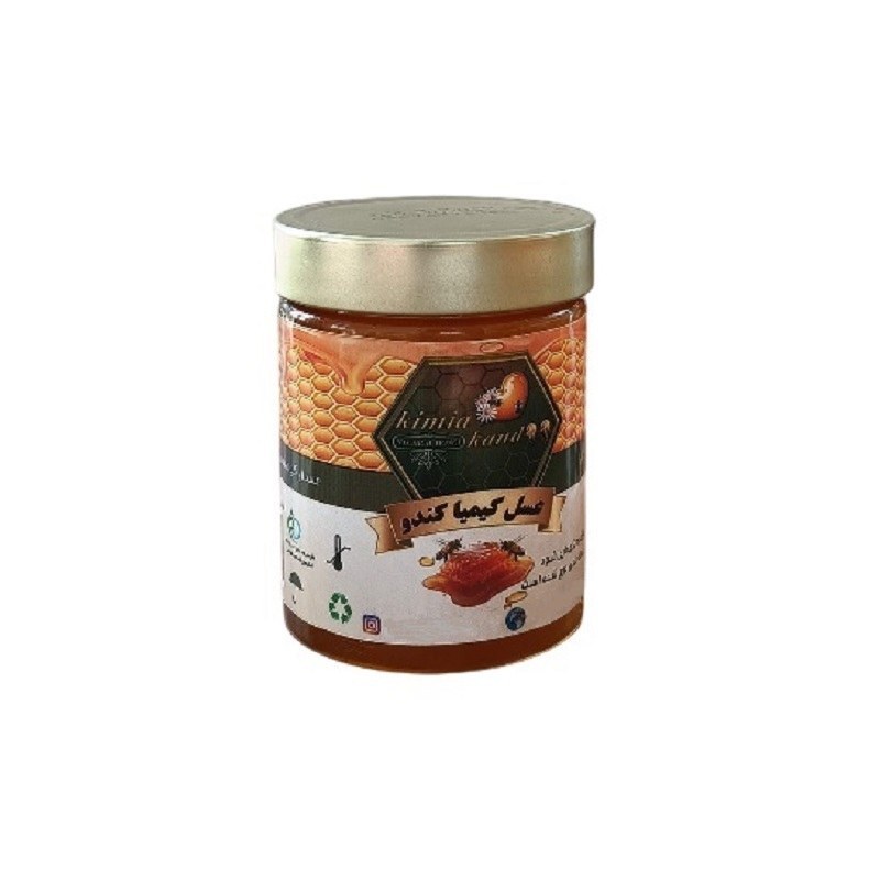 عسل کوهستان کیمیا کندو 500 گرم خالص