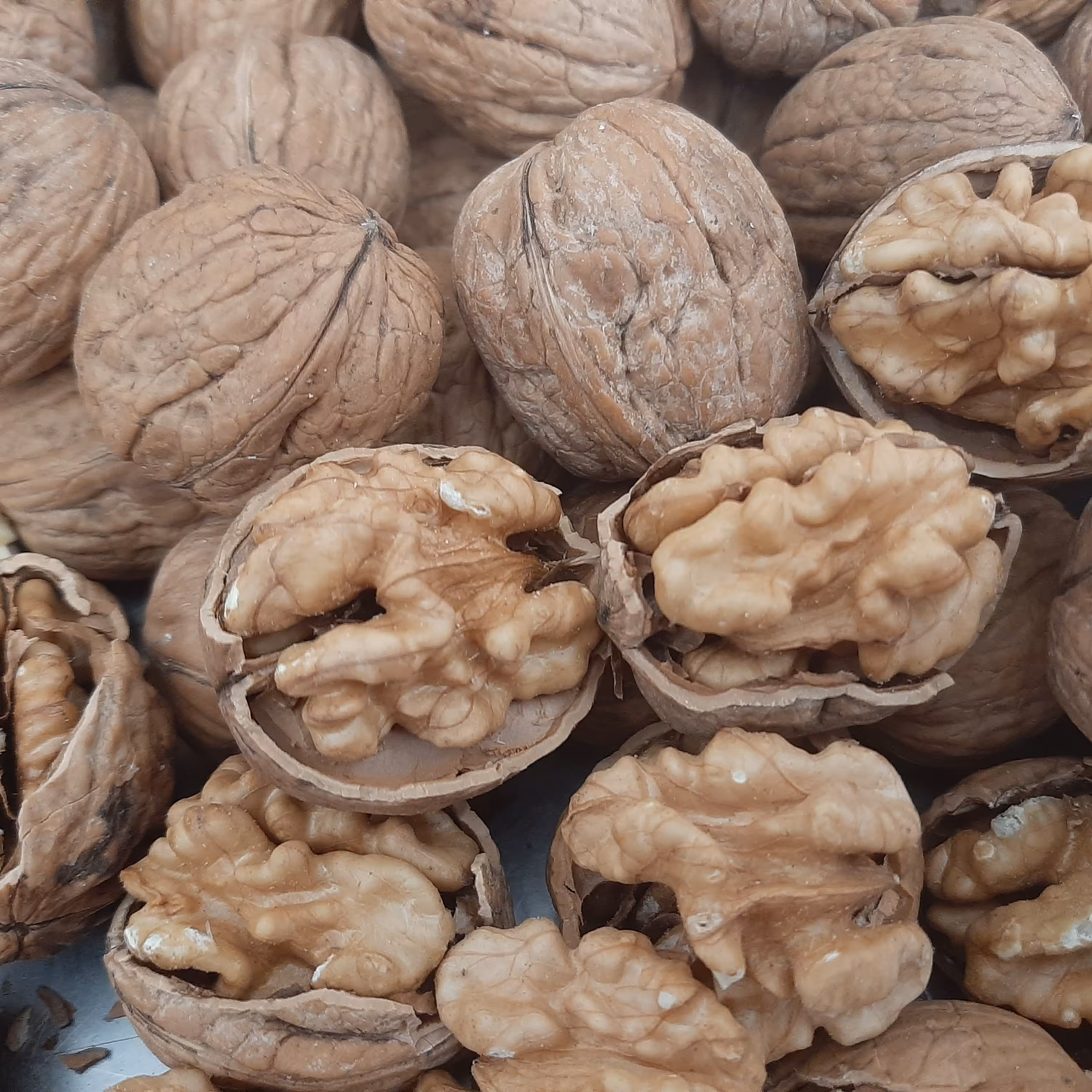 گردو پوست کاغذی 3600گرمی