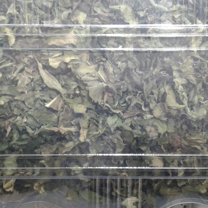 برگ چغندر