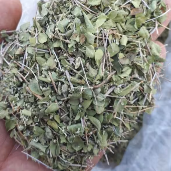 آویشن شیرازی 1000 گرمی 