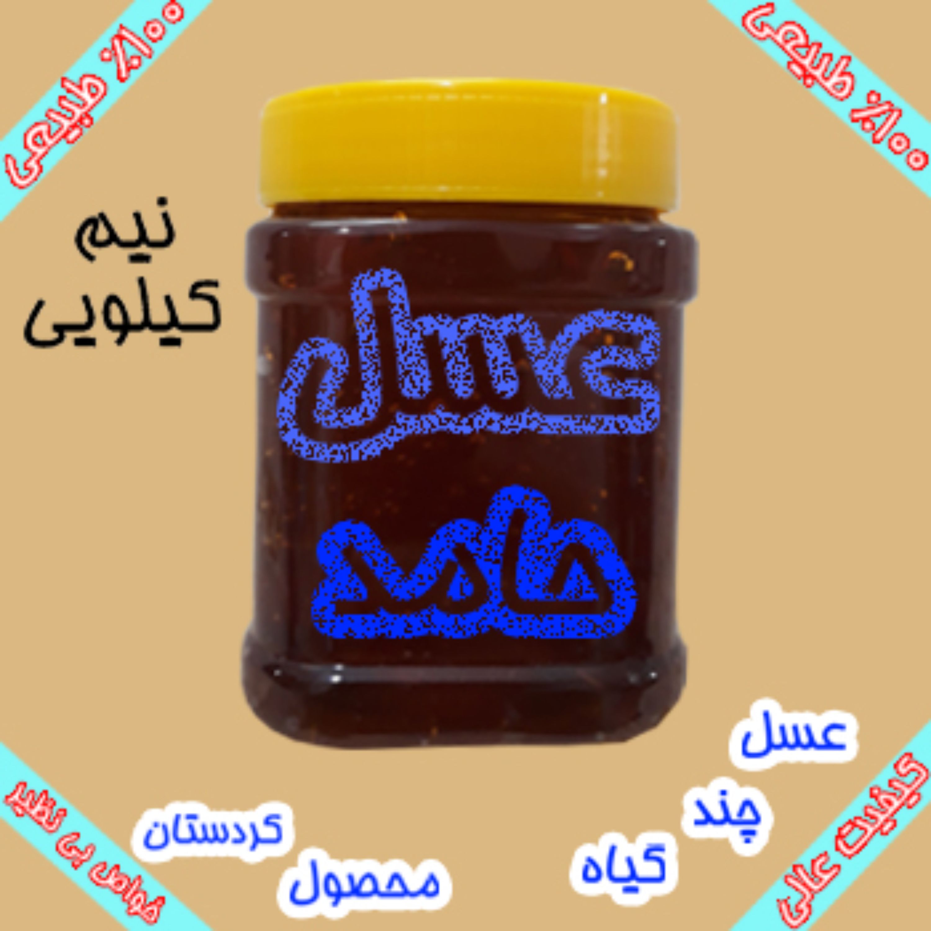 عسل چند گیاه 100 درصد طبیعی کردستان - بدون موم - نیم کیلویی
