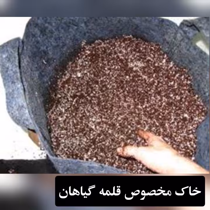 خاک قلمه گیاهان آپارتمانی (پس کرایه)