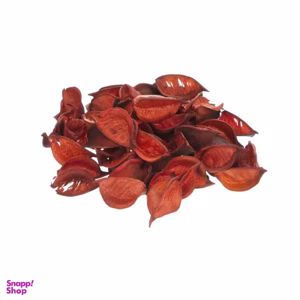 گل خشک مدل S79