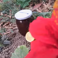 رب الوچه شیرین 