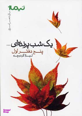 یک شب پرنده ای
