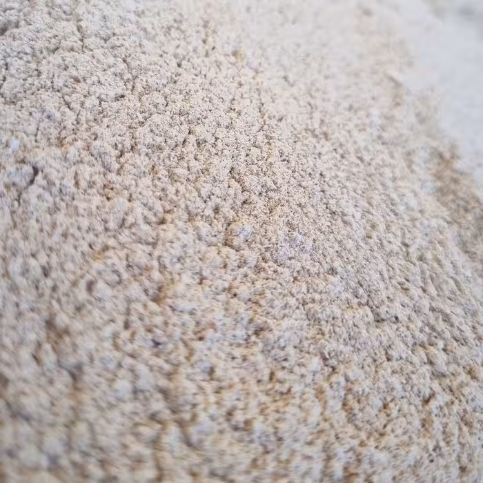 پودر پیاز نیم کیلو