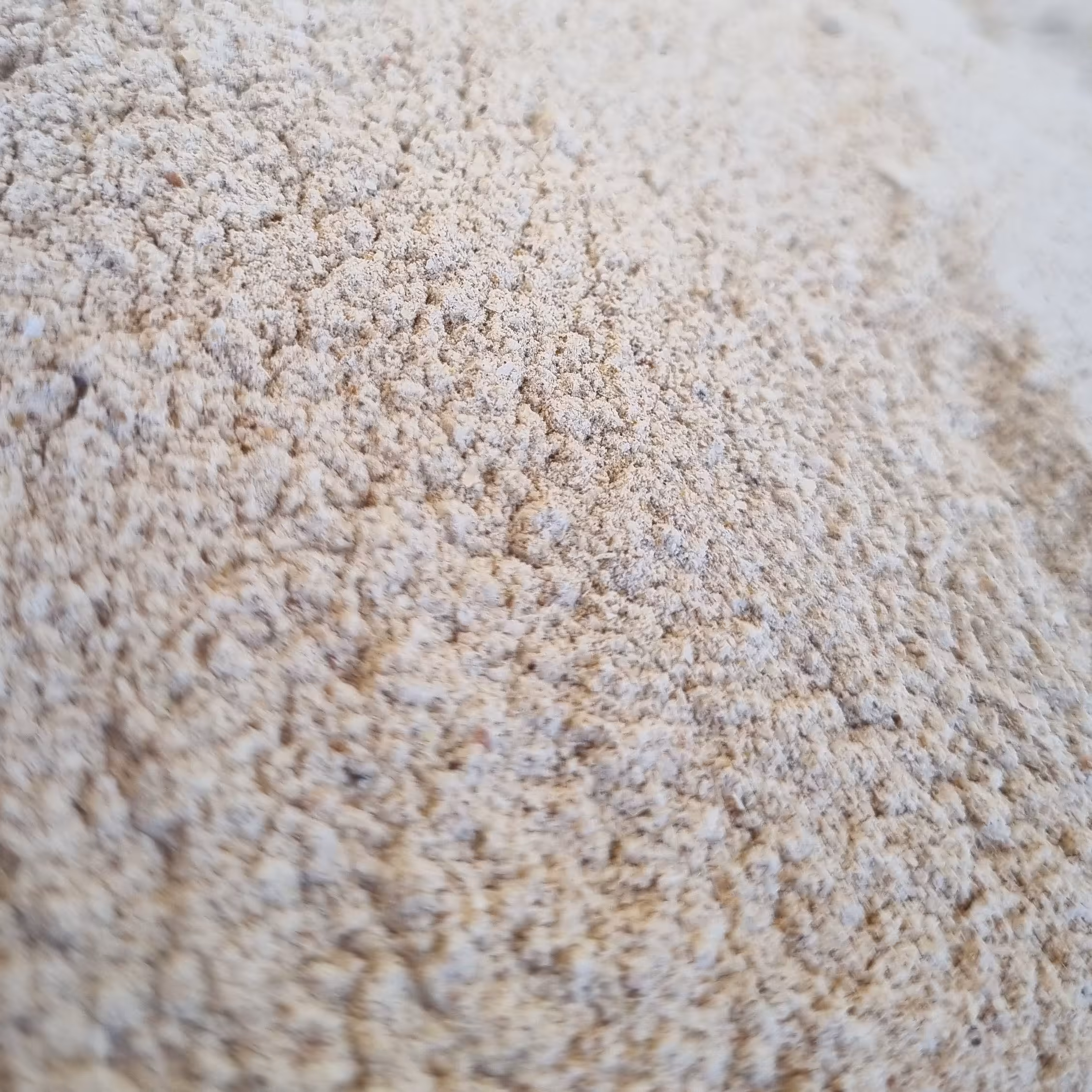 پودر پیاز نیم کیلو