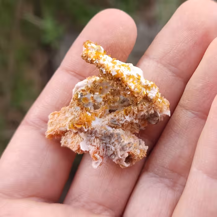 سنگ ولفونیت با همرشدی کلسیت کلکسیونی (کد38)