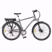 دوچرخه برقی اروند موتور پاک AMP 3003