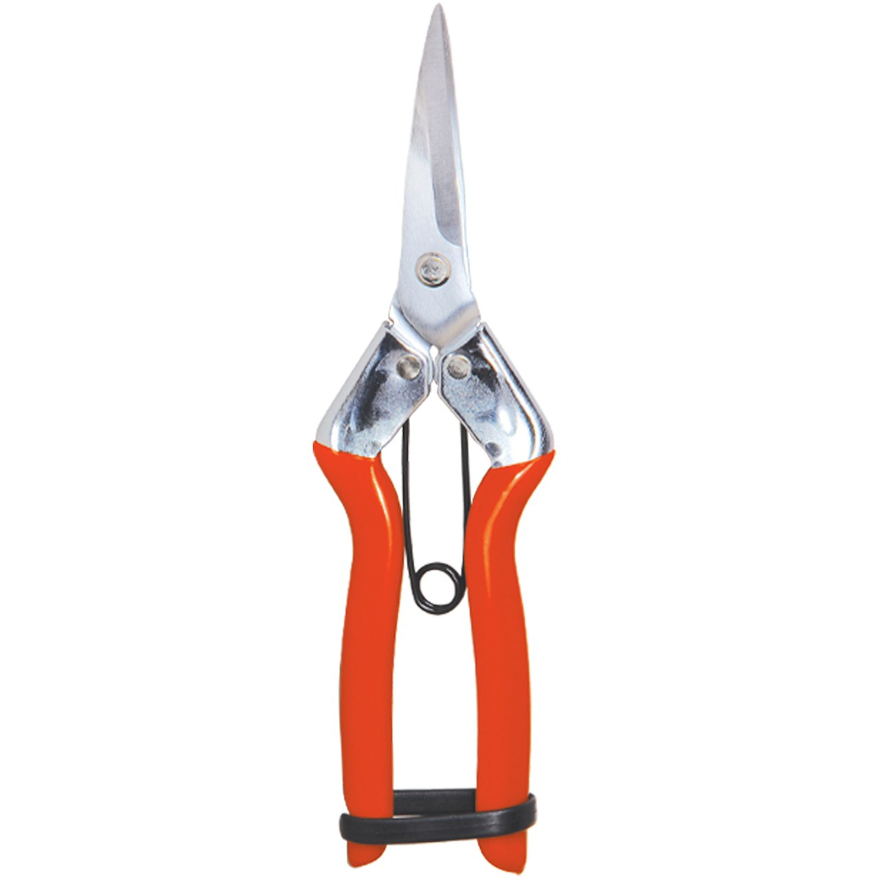 قیچی میوه چین 7 اینچی بهکو مدل BP-1811H