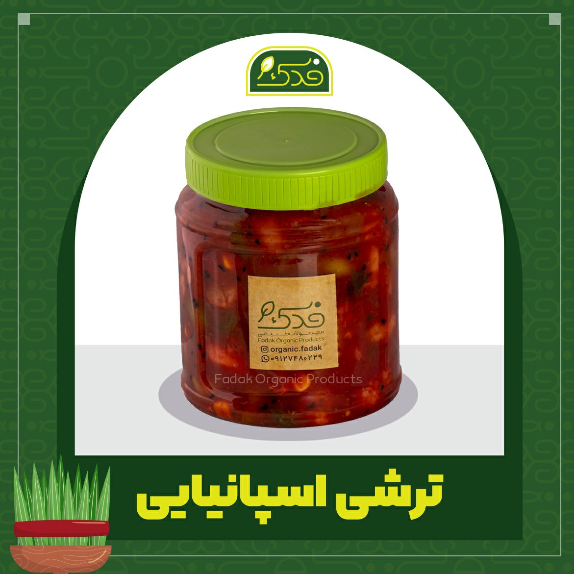 ترشی اسپانیایی 5ستاره فدک