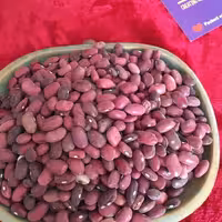 لوبیا قرمز ارگانیک
